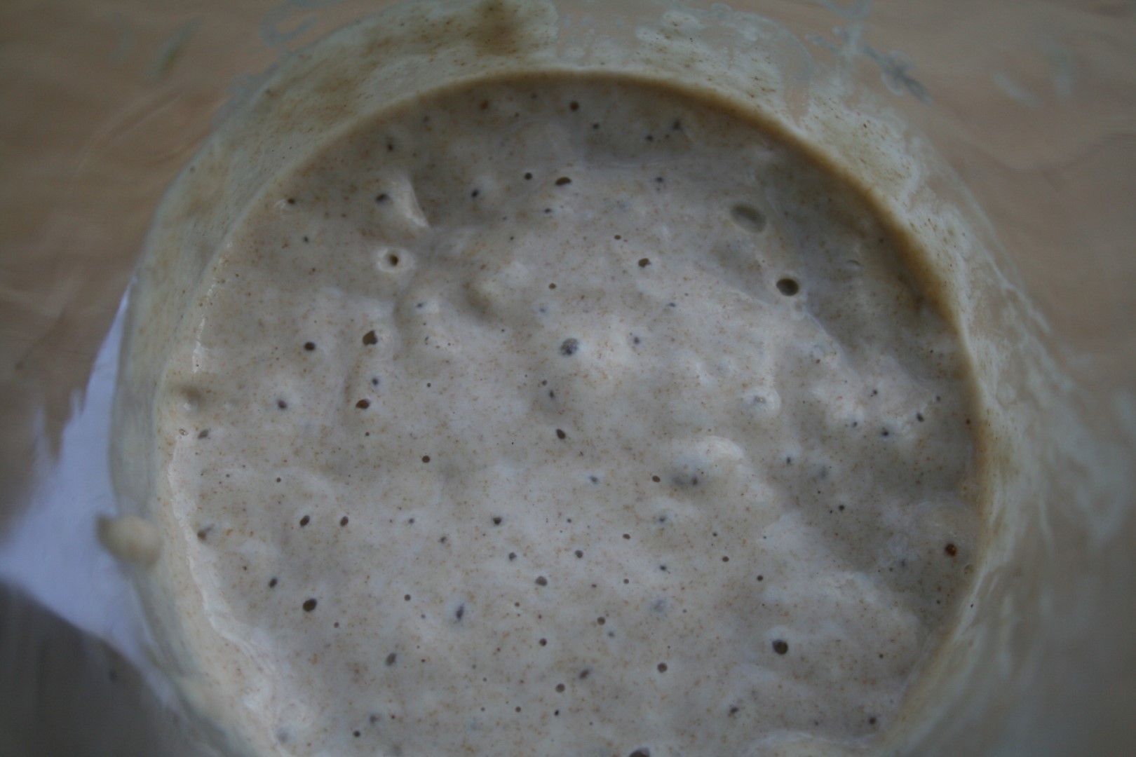 Sourdough fermentation