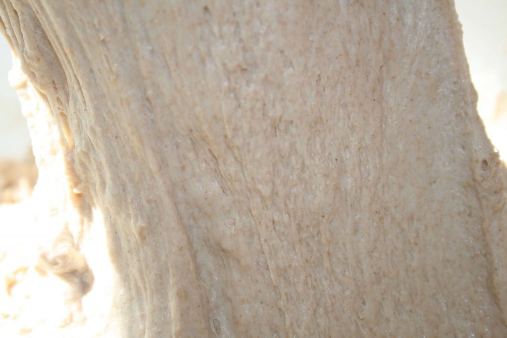 מראה הגלוטן בקמח