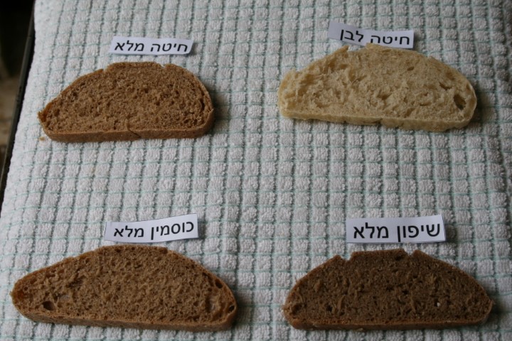 הבדל בתפיחה בין הקמחים