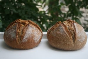 תוצאות הניסוי עם אבן האפיייה