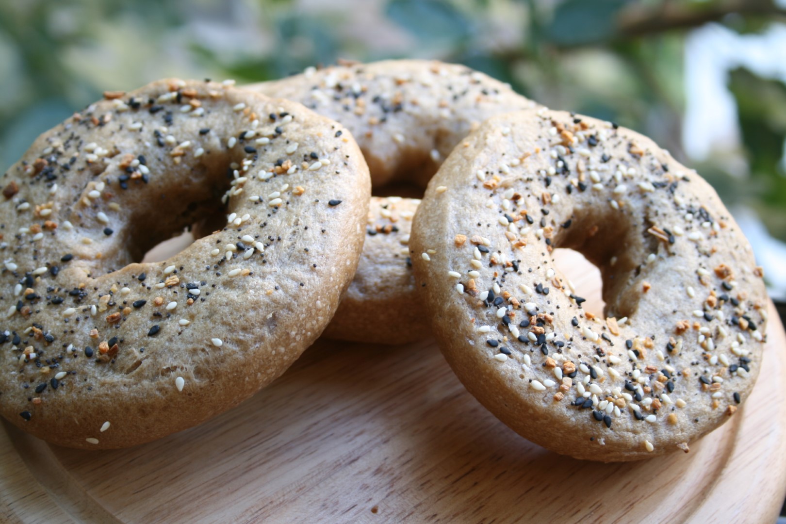 בייגלה אמריקאי מניו יורק