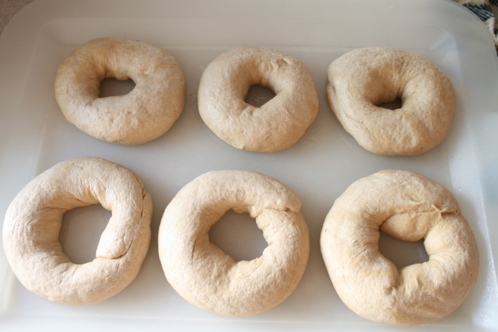 bagel after fermentation