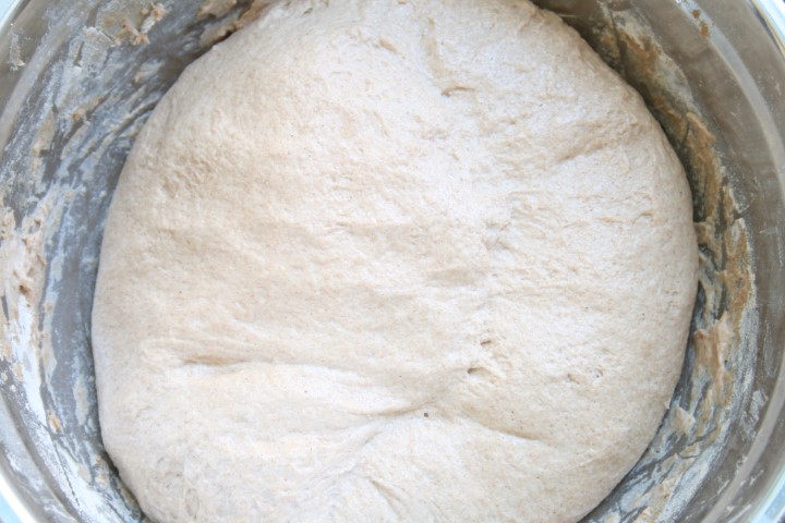 בצק הכוסמין בעת ההתפחה