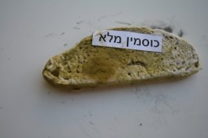 איך נראה העובש בלחם כוסמין מלא