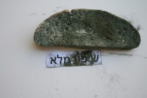 איך נראה העובש בלחם שיפון מלא