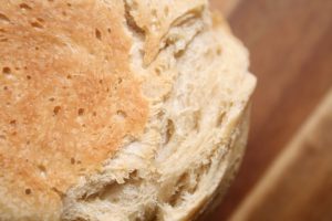 התקבעות הסופגניה