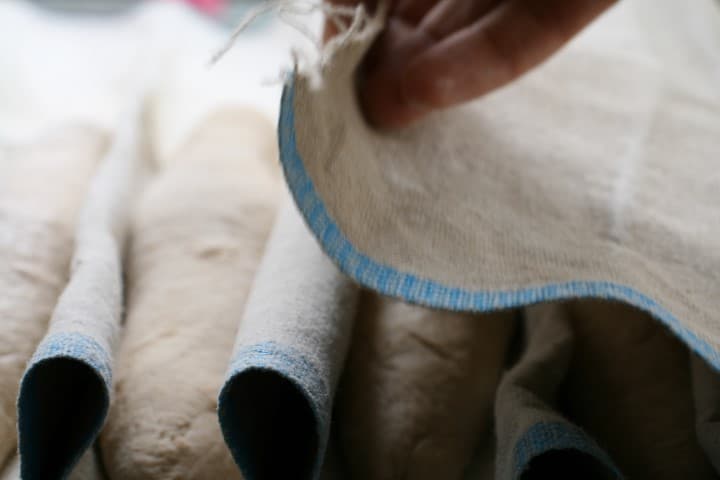 הבצק תופח בבד הפשתן