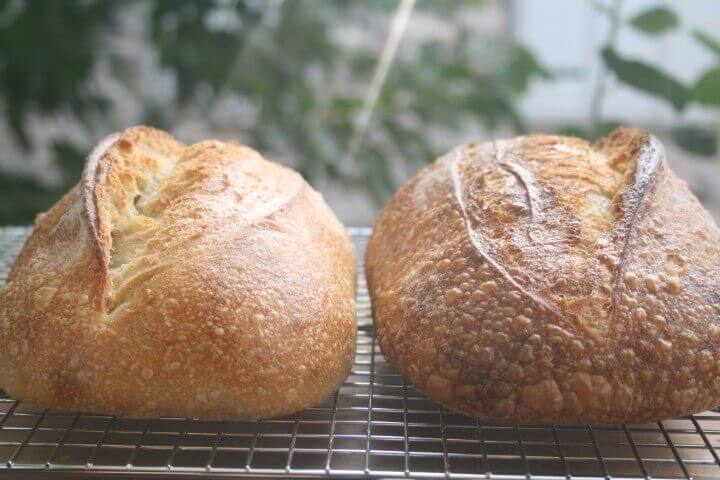 פעילות אנזימטית גבוהה