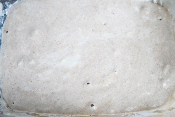 הכנת המחמצת ביום השני