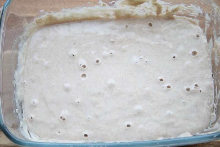 מחמצת מבעבעת