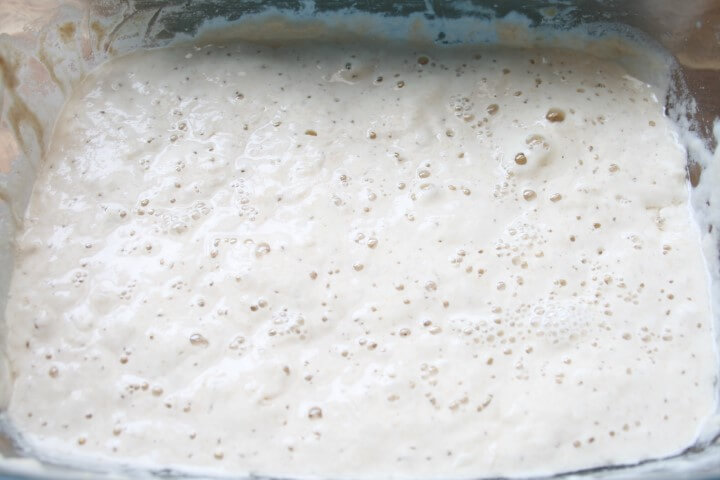 מראה המחמצת ביום השישי