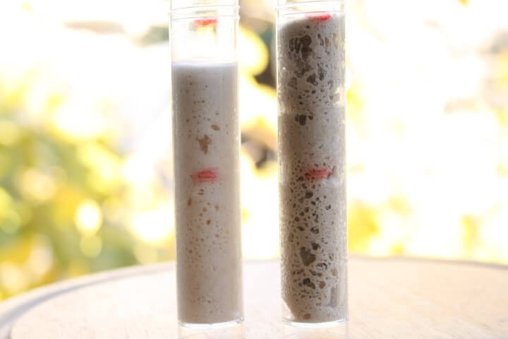 תוצאות ניסוי