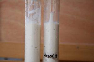 תחילת ניסוי עם מחמצת שאולי מקולקלת