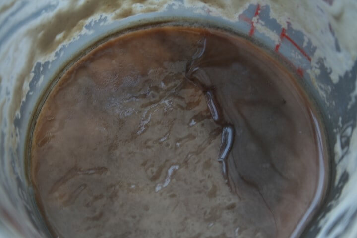 מחמצת שהבאישה במקרר