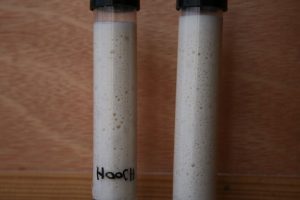 תוצאות הניסוי מרמזות שהמחמצת לא מקולקלת