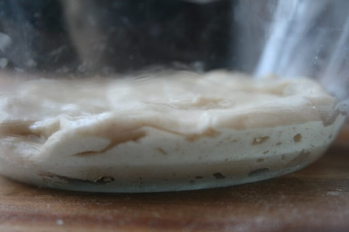 ביגה לג'באטה