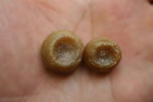 גלוטן קמח קשה ורך