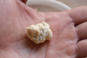 גלוטן רטוב שהוסר מבצק קשה