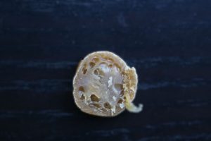 חתך כדור הגלוטן היבש