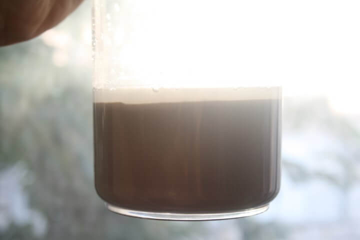 תחילת החמצה של קמח טף