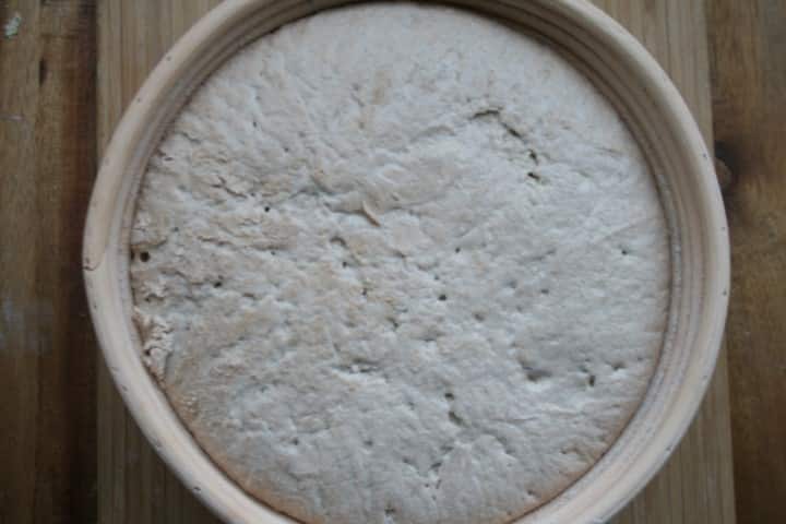 כוסמת מהסלסלה