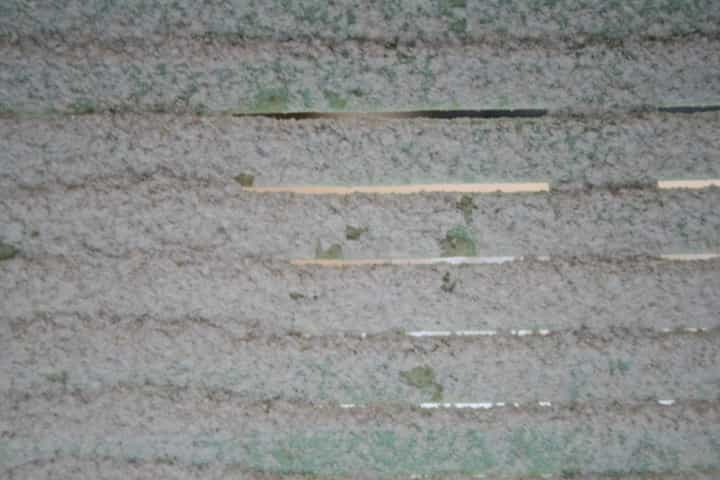 לפני קימוח שני