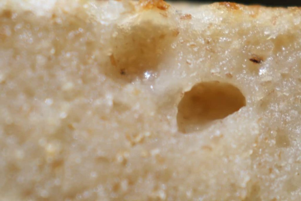 ללא סודה - שתי בועיות שבמקרה נקלטו בעדשת המצלמה