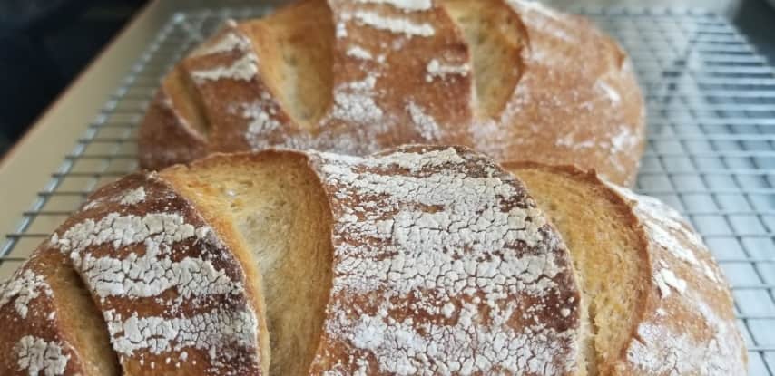 לחם מקמח אורז