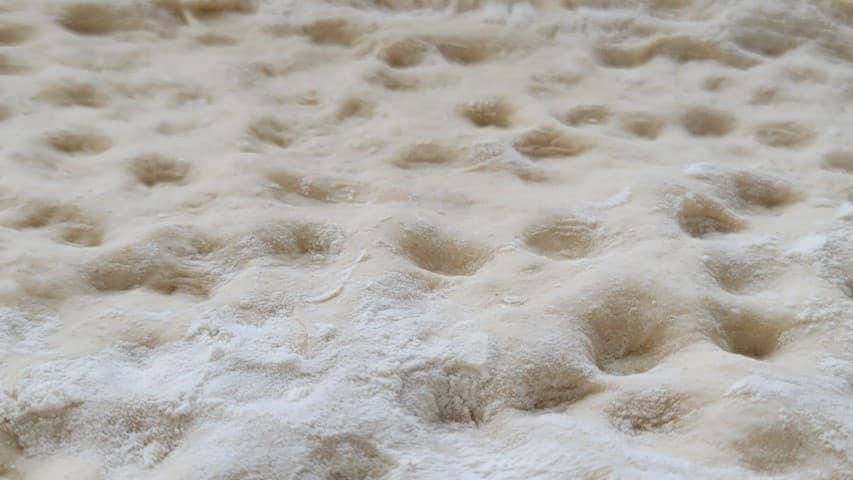 חורים בפוקאצ'ה