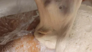 בצק עם ויטמין סי