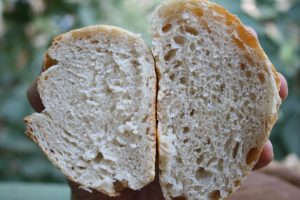 הבדל בהדירציה בין הלחם הרטוב ליבש